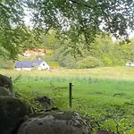 Naturperle Midt I Skoven, Ved So Og Eng Vejle