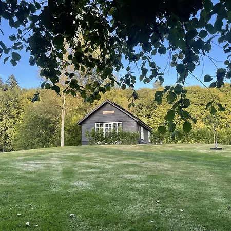 Naturperle Midt I Skoven, Ved So Og Eng *