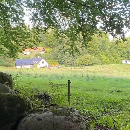 Naturperle Midt I Skoven, Ved Sø Og Eng Vejle
