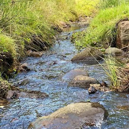 Naturperle Midt I Skoven, Ved Sø Og Eng