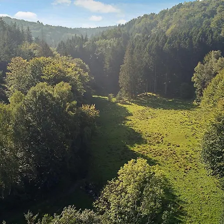 Naturperle Midt I Skoven, Ved Sø Og Eng * Vejle
