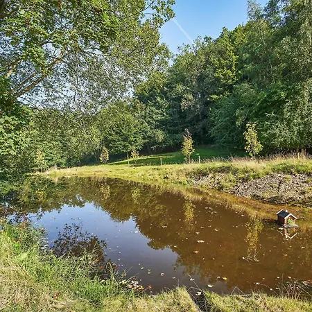 Naturperle Midt I Skoven, Ved Sø Og Eng Vejle