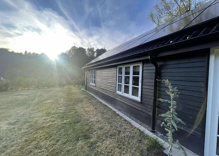 Naturperle Midt I Skoven, Ved So Og Eng 바일레