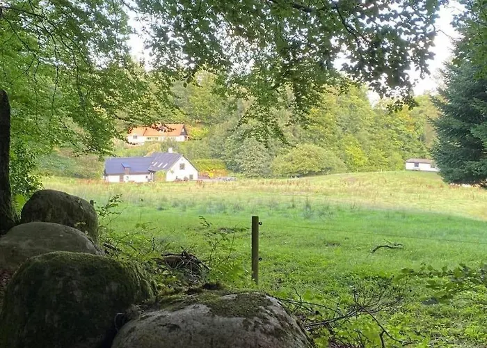 Naturperle Midt I Skoven, Ved So Og Eng 바일레