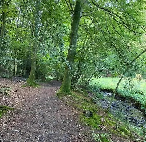 빌라 Naturperle Midt I Skoven, Ved So Og Eng *