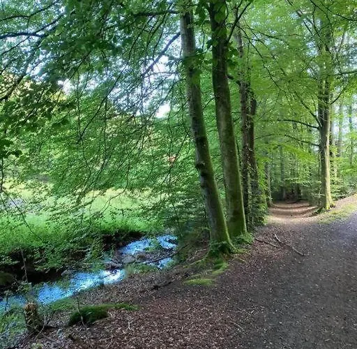 Naturperle Midt I Skoven, Ved So Og Eng 빌라 *