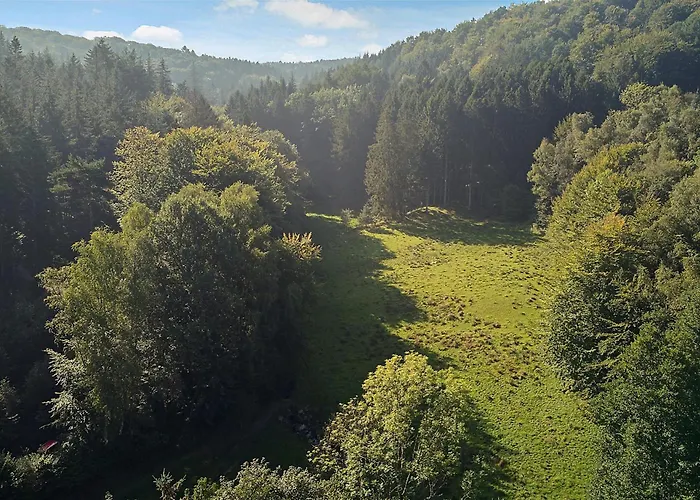 Naturperle Midt I Skoven, Ved So Og Eng * 바일레